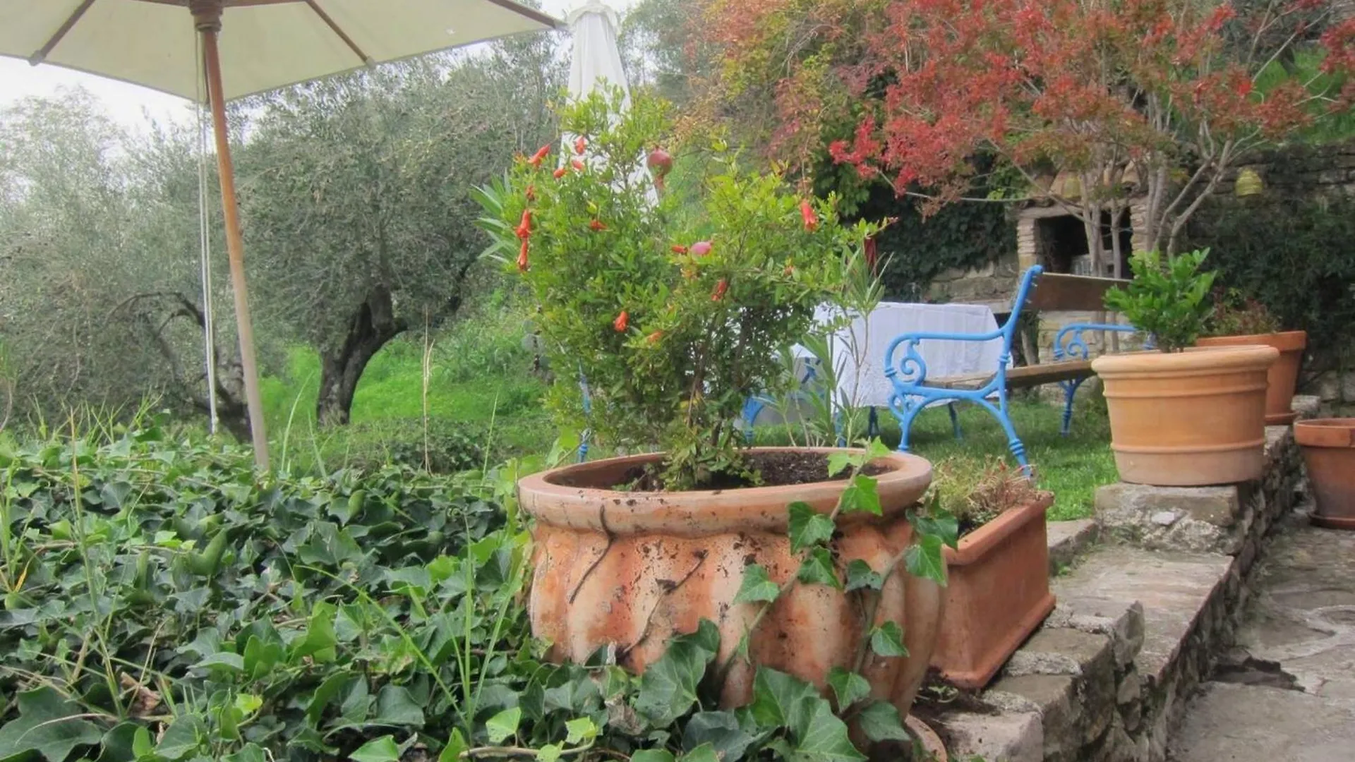 Villa Bella Groznjan