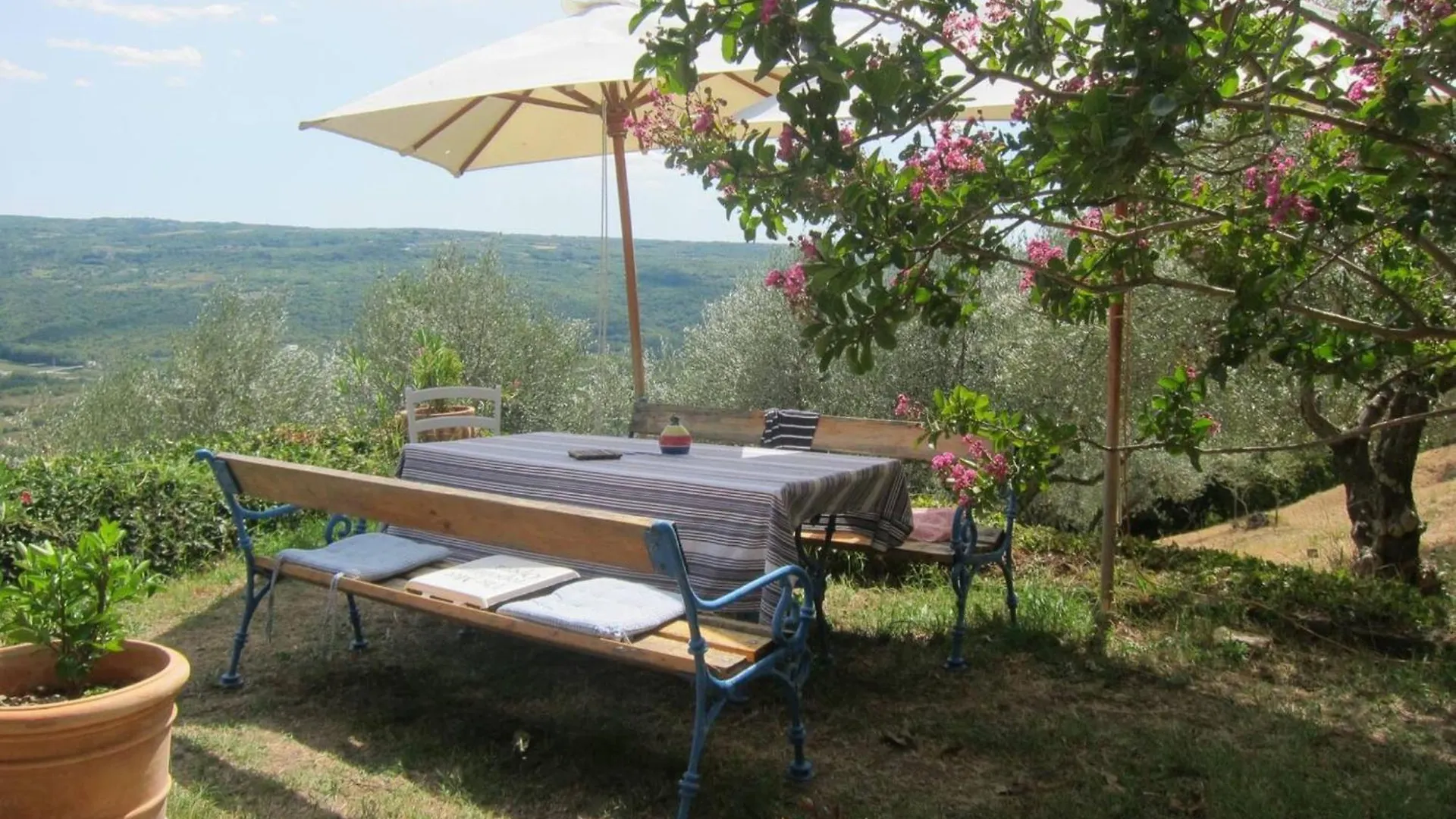 Villa Bella Groznjan Holiday home