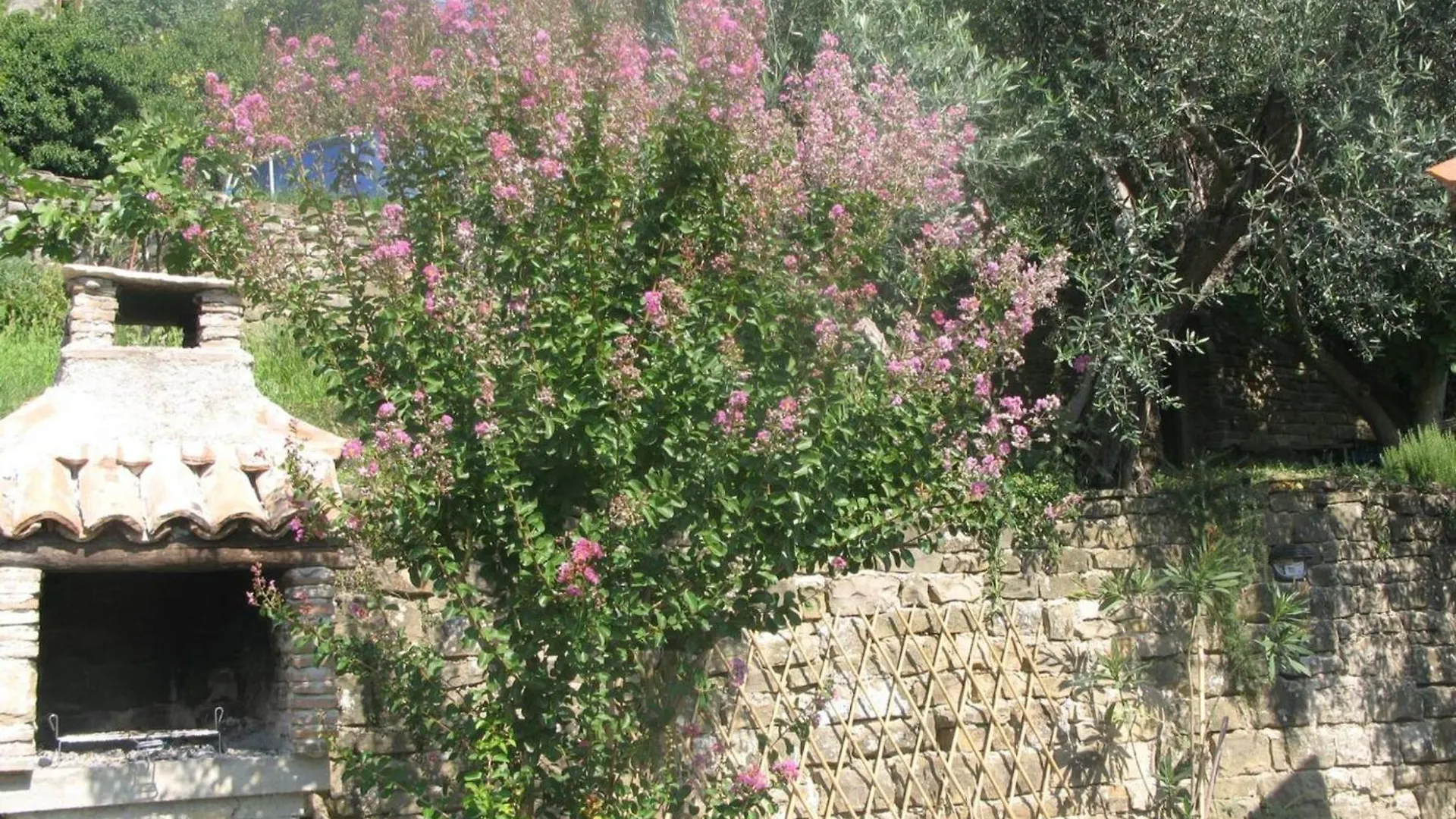 Villa Bella Groznjan Holiday home