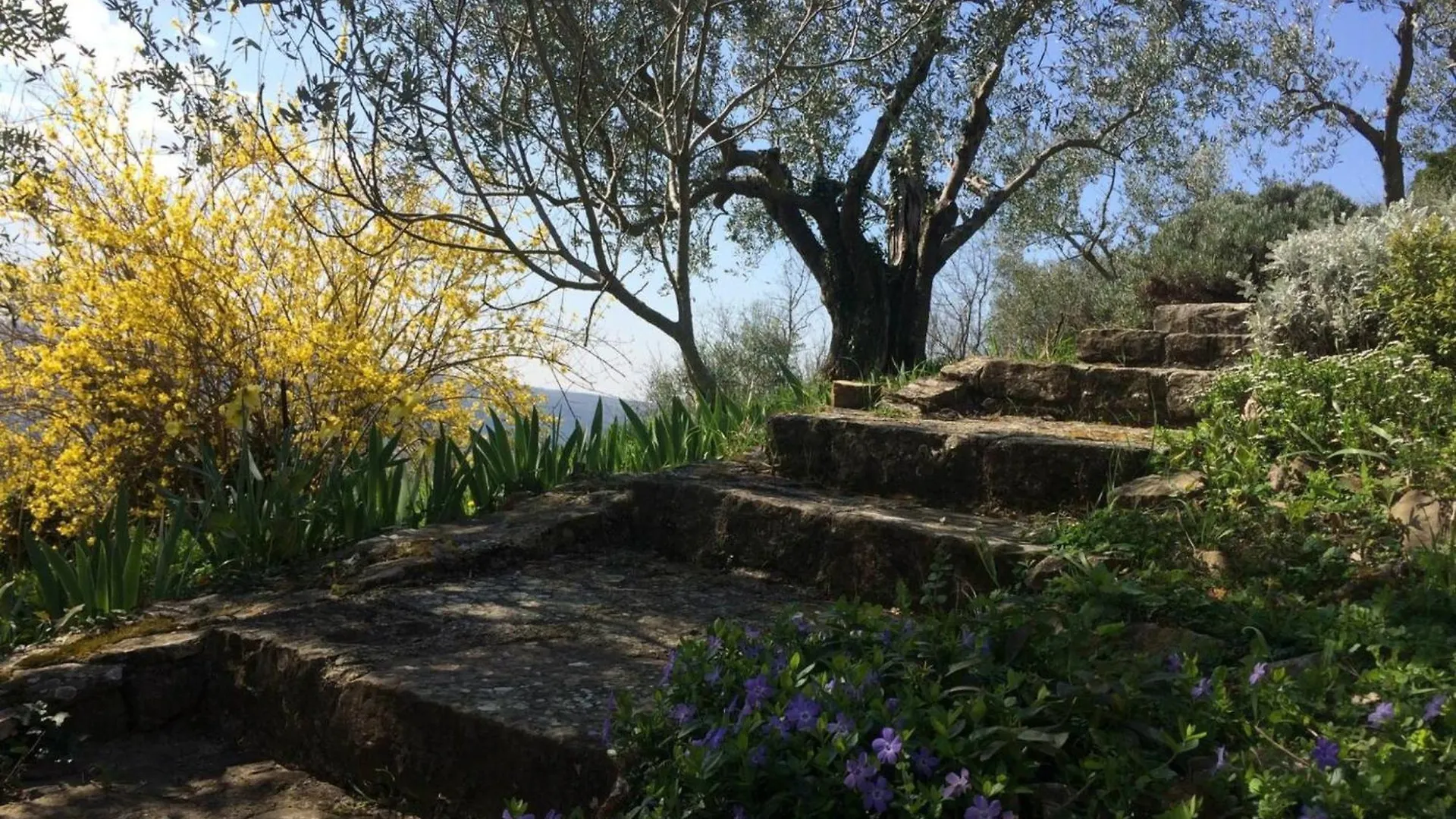 Villa Bella Grožnjan Casa vacanze